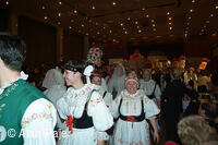 Národní krojový ples