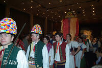 Národní krojový ples