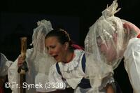 Národní krojový ples