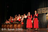 Národní krojový ples