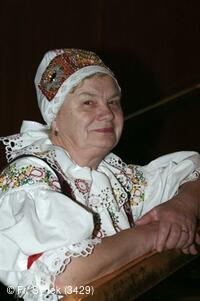 Národní krojový ples