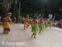 Mezinárodní folklorní festival Liptálské slavnosti