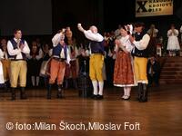 Jihočeské folklorní sdružení