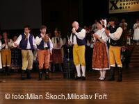 Jihočeské folklorní sdružení