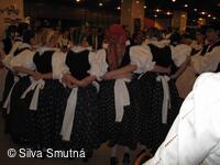 Muzejní spolek Velkobítešska