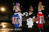 Národní krojový ples