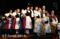 Národní krojový ples