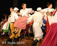 Národní krojový ples