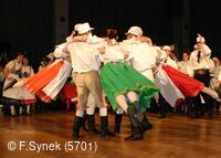 Národní krojový ples