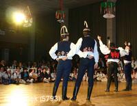 Národní krojový ples