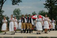 Mikroregion Podhůří Železných hor