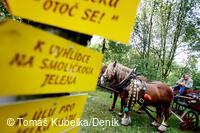 Sousedské slavnosti 2008