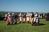 Mikroregion Podhůří Železných hor