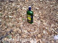 Setkání Jeníčků a Mařenek 2010 - turnaj o cenu Jana Bechera (pro dospělé)