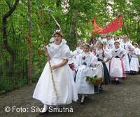 Královničky z Velkobítešska