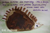 Obecní knihovna v Petřvaldě - knihovna, kde jste doma!