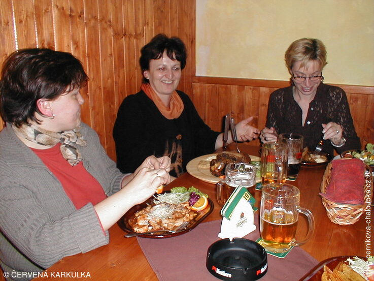 Neformální setkání členů A.T.I.C. ČR po veletrhu Holiday World 2002